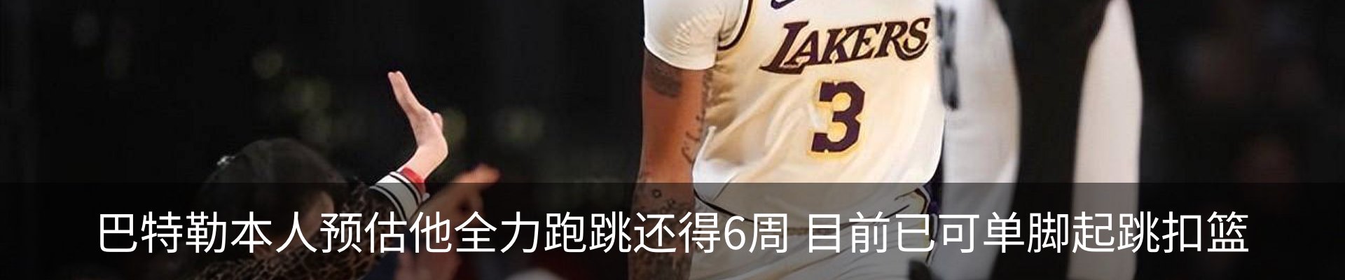 最新动态
